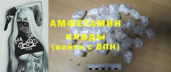 хмурый Алексин