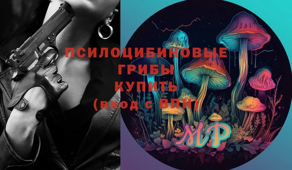 соль ск Заволжье