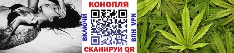 Марихуана семена  где продают наркотики  Кирсанов 